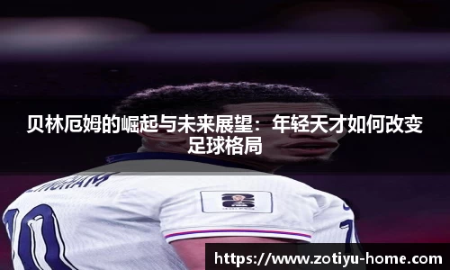 中欧体育平台